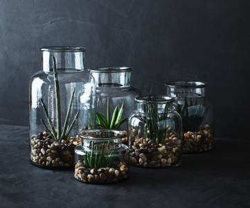 Jarrones de cristal
