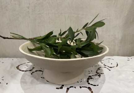 Bowl yeso y papel mache